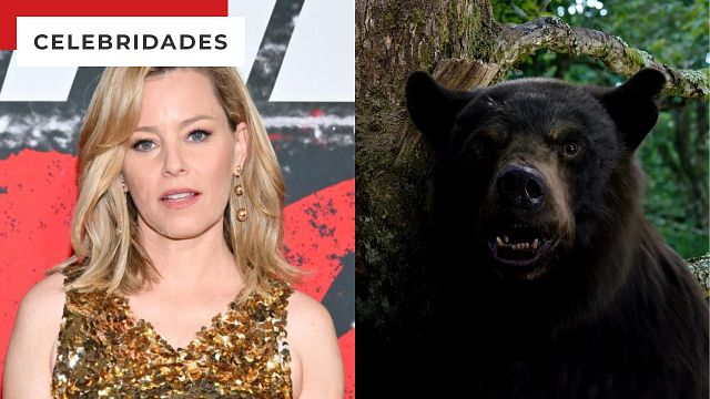 Imagem da notícia O Urso do Pó Branco poderia acabar com a carreira de Elizabeth Banks: "Um risco gigantesco"