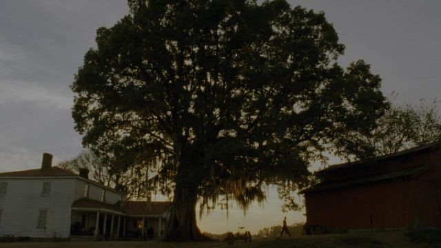 Imagem da notícia Hoje no streaming: Uma das melhores e mais emocionantes adaptações de Stephen King - que foi indicada a 4 Oscars