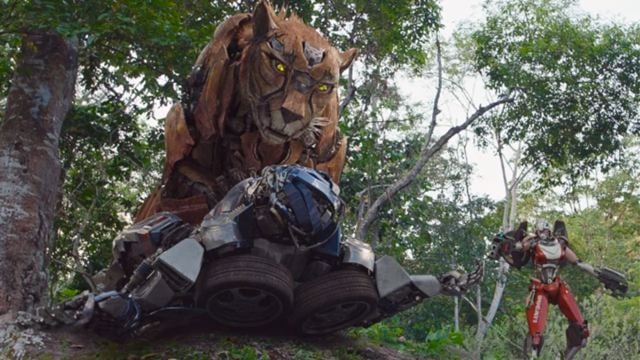 Ator de Transformers quase desmaiou durante as filmagens do novo longa da franquia