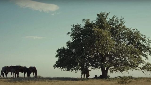 Imagem da notícia Termina a que provavelmente é a melhor série de faroeste em exibição: 5,3 milhões de espectadores ao vivo na TV