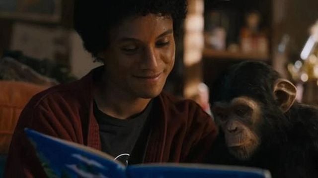 Imagem da notícia O chimpanzé de Michael Jackson ainda está vivo? Bubbles aparece na cinebiografia do Rei do Pop em CGI