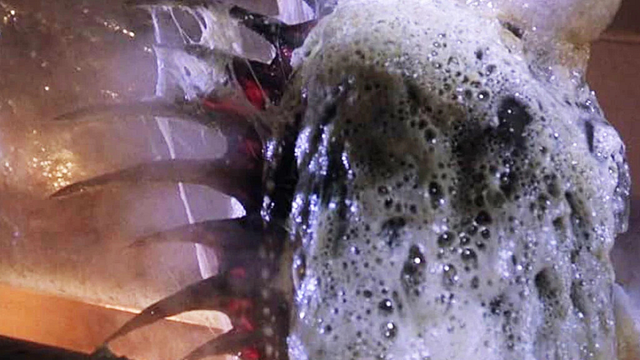 Imagem da notícia Um filme de fantasia magistral está disponível no streaming hoje: Ele ainda cativa com suas ideias mesmo depois de ser visto 100 vezes