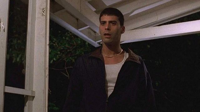 Imagem da notícia 25 anos da estreia de uma das MELHORES séries da história: Drama policial aclamado mudou a televisão para sempre