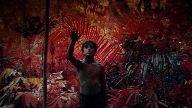 Imagem da notícia Criador de Adolescência, da Netflix, apresenta o trailer eletrizante de sua nova minissérie, baseada em um dos melhores livros de todos os tempos