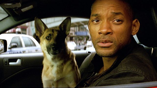 Imagem da notícia A sequência de Eu Sou a Lenda traz Will Smith de volta à vida: Novos detalhes da história revelados