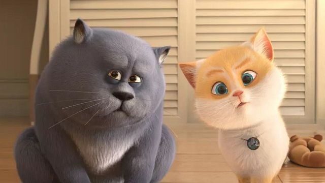 Imagem da notícia Sessão da Tarde hoje (30 de maio de 2025): Filme inédito na TV, Cats e a Gatolândia traz uma mensagem inspiradora para pais e filhos!