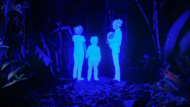 Imagem da notícia Como estas 4 crianças conseguiram sobreviver a 40 dias perdidas na floresta?