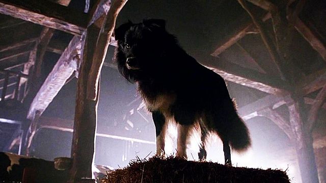 Imagem da notícia Indicado a 7 Oscars, este filme já tem 30 anos e continua sendo um clássico perfeito para assistir no fim do ano