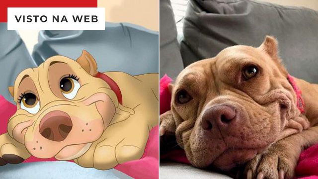 Imagem da notícia Artista transforma animais da vida real em fofos desenhos da Disney