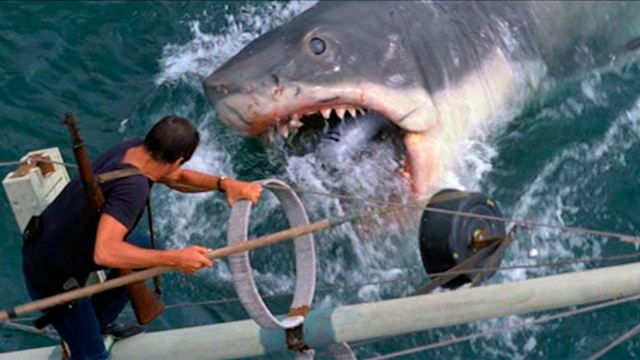 Tubarões atacam equipe de filmagem de documentário da Netflix: "Foi como em Tubarão!"