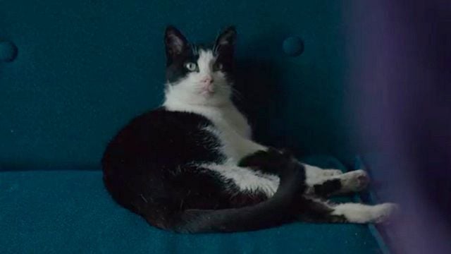 Imagem da notícia Há 11 anos, uma demissão repentina afundou este filme: Mais tarde, ele chegaria ao Oscar