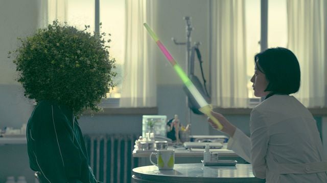 Imagem da notícia 6 episódios perfeitos para o fim de semana: Este dorama escondido na Netflix foi esquecido de maneira muito rápida