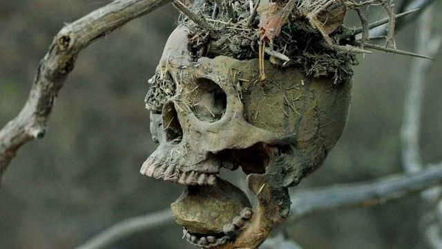 Imagem da notícia O faroeste de terror que impressionou Stephen King e que você pode ver online: “É um filme de faroeste épico”