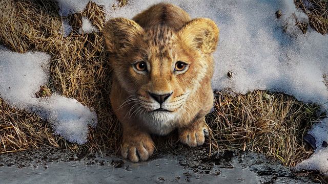 Imagem da notícia Mufasa: O Rei Leão: Diretor do filme revela qual sua cena favorita da animação original da Disney