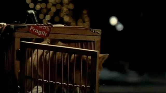 Imagem da notícia Hoje no streaming: Possivelmente o filme que fez mais pessoas chorarem na história do cinema