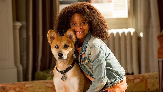 Imagem da notícia Sessão da Tarde hoje (05/03): Filme Annie, baseado em sucesso da Broadway, quase teve atriz famosa que "odeia musicais" no elenco