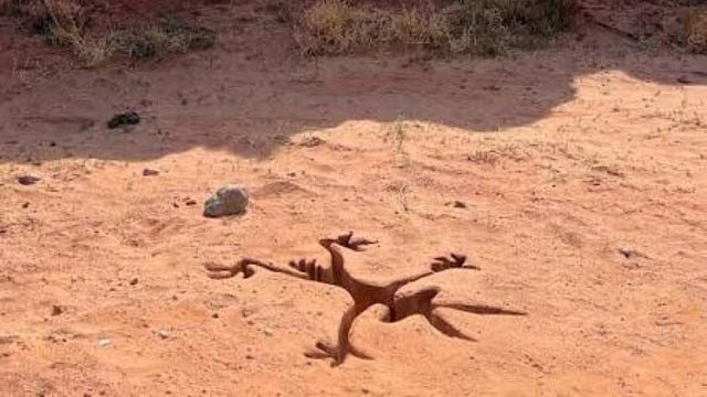 Imagem da notícia Com John Cena, uma das animações mais famosas da televisão está prestes a virar live-action: "Foi absolutamente difamado durante 80 anos"