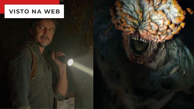Imagem da notícia The Last of Us: Quais são os diferentes estágios de infecção pelo fungo Cordyceps?