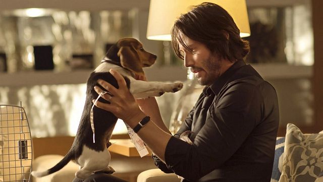 Imagem da notícia “Keanu Reeves nos apoiou”: Os diretores explicam como filmaram a morte do cachorro de John Wick apesar da relutância dos investidores