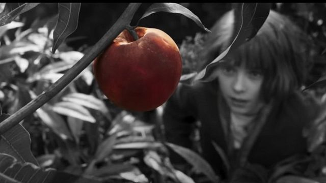 Imagem da notícia Após Duna 2, uma das franquias mais aclamadas da ficção científica está prestes a retornar aos cinemas - e ganhou trailer de tirar o fôlego