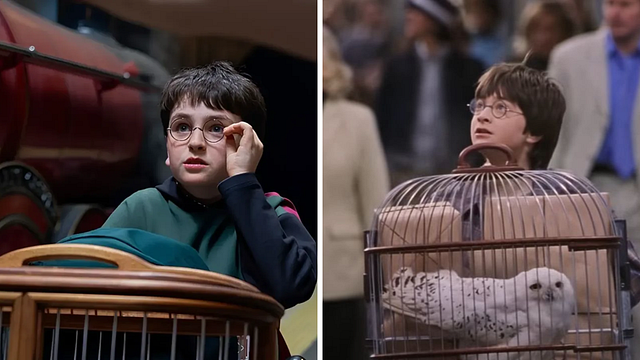 Imagem da notícia Série de Harry Potter terá que suportar comparações com os filmes, mas a HBO não está preocupada: "Permite que você se aprofunde mais"