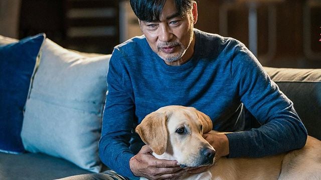 Imagem da notícia Sessão da Tarde hoje (03/07): Baseado em fatos reais, Eternos Companheiros é um daqueles filmes com cachorros que vão te arrancar lágrimas