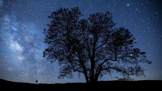 Imagem da notícia Stephen Hawking: "Cada um de nós vive apenas um breve período de tempo e visitamos apenas uma pequena fração do universo"