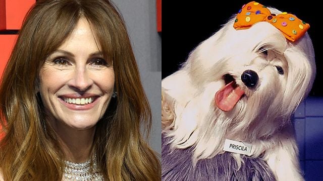 Imagem da notícia Priscila, da TV Colosso, tem uma conexão com Julia Roberts e uma revista proibida para menores – mas, calma, nós não vamos estragar sua infância!