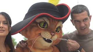 Imagem da notícia Gato de Botas - Coletiva de imprensa