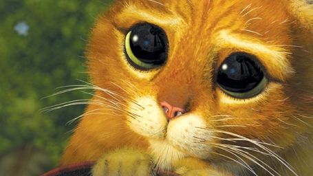 Imagem da notícia Antonio Banderas já começou a trabalhar em Gato de Botas 2