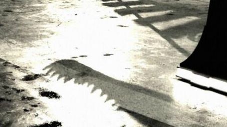 Imagem da notícia Jurassic World: Diretor divulga imagem misteriosa do novo dinossauro