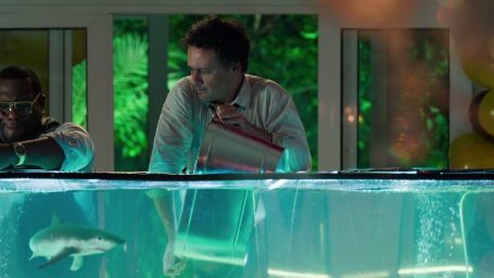 Imagem da notícia Exclusivo: Danton Mello precisa de ajuda para tirar o tubarão do aquário