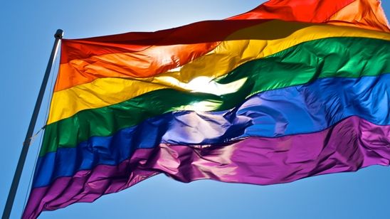 Imagem da notícia Aprovação do casamento gay nos Estados Unidos será tema de filme