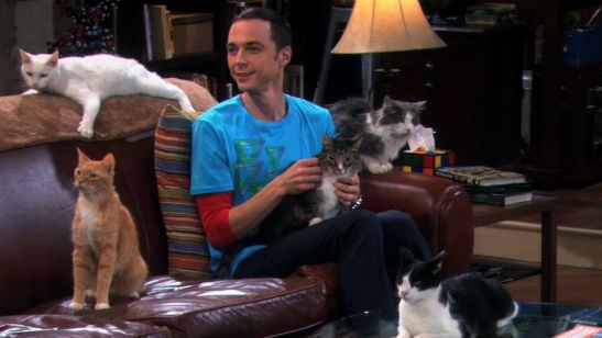 Produtores de The Big Bang Theory são processados por uso indevido da canção "Soft Kitty"