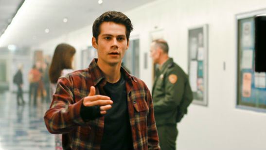 Dylan O'Brien é confirmado na sexta temporada de Teen Wolf. Veja fotos inéditas!