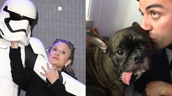 Imagem da notícia Oscar Isaac divulga foto de Carrie Fisher e Mark Hamill no set do novo Star Wars