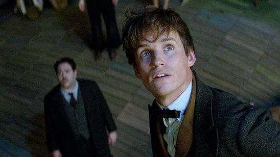 Imagem da notícia Oscar 2017: Animais Fantásticos e Onde Habitam ganha o primeiro prêmio da franquia Harry Potter