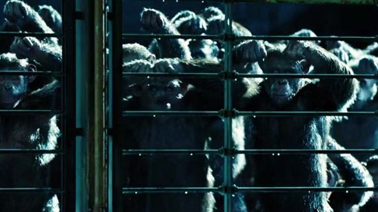 Imagem da notícia Novo teaser de Planeta dos Macacos: A Guerra anuncia que o trailer sai amanhã!