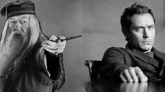 Imagem da notícia Jude Law será Dumbledore em sequência de Animais Fantásticos e Onde Habitam