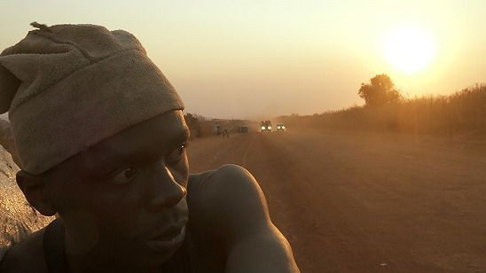 Imagem da notícia Festival de Cannes 2017: Makala é o grande vencedor da Semana da Crítica