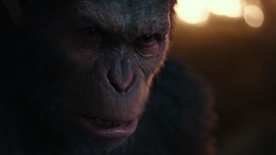Símios lutam por sua liberdade em novo trailer de Planeta dos Macacos: A Guerra