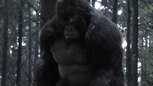 Imagem da notícia Legends of Tomorrow terá Gorila Grodd como vilão na 3ª temporada