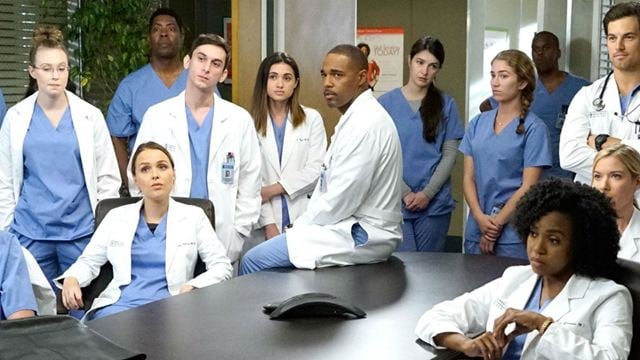 Grey's Anatomy: Mais uma atriz deixa o elenco recorrente da 14ª temporada
