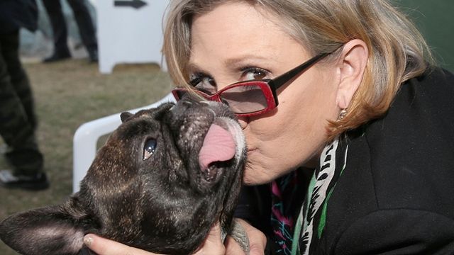 Imagem da notícia Carrie Fisher enviou uma língua de vaca a um produtor que assediou sua amiga