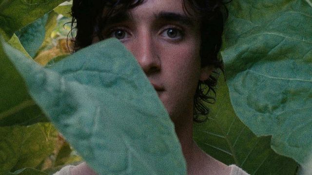 Imagem da notícia Festival de Cannes 2018: Netflix compra dois filmes premiados na mostra