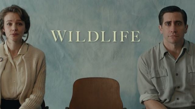 Wildlife: Estreia de Paul Dano na direção, filme com Jake Gyllenhaal e Carey Mulligan ganha primeiro teaser