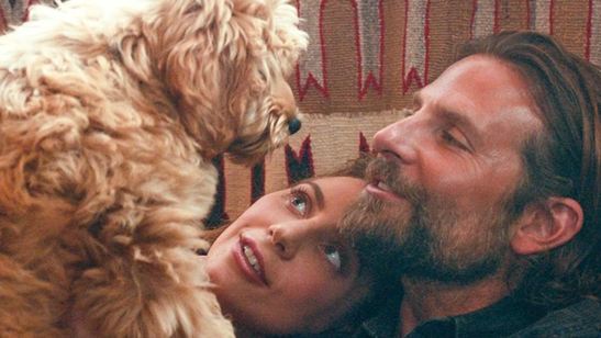 Bradley Cooper atuou com seu cachorro de estimação em Nasce uma Estrela