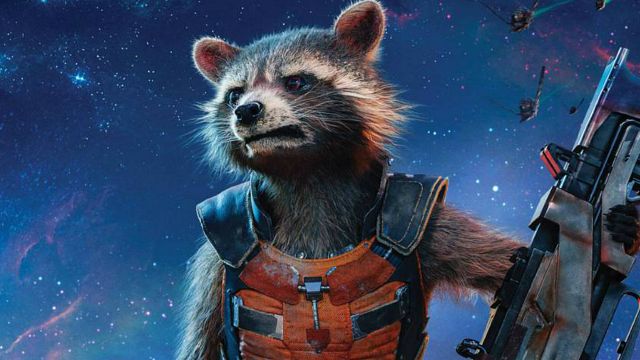 Imagem da notícia Você conhece o guaxinim que serviu de inspiração para o ícone de Guardiões da Galáxia, Rocket Raccoon?