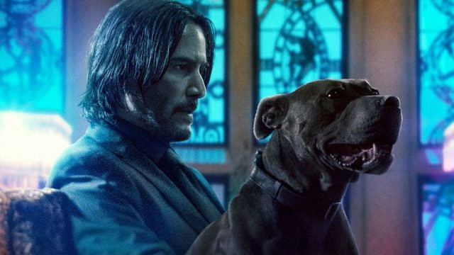 John Wick 3 - Parabellum: Keanu Reeves, Halle Berry e belos cachorros estampam cartazes individuais