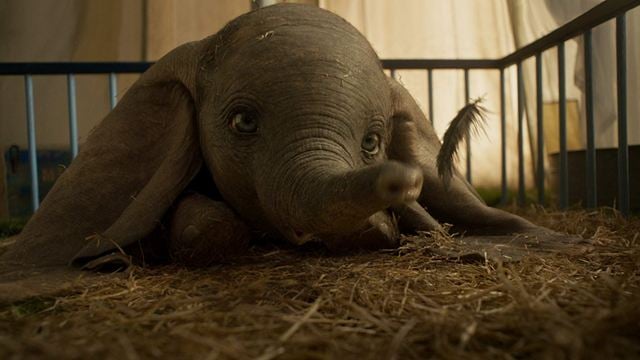 Bilheterias Estados Unidos: Mesmo com pouco fôlego, Dumbo voa mais alto que seus rivais